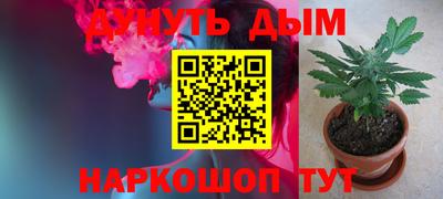 дурь Кингисепп