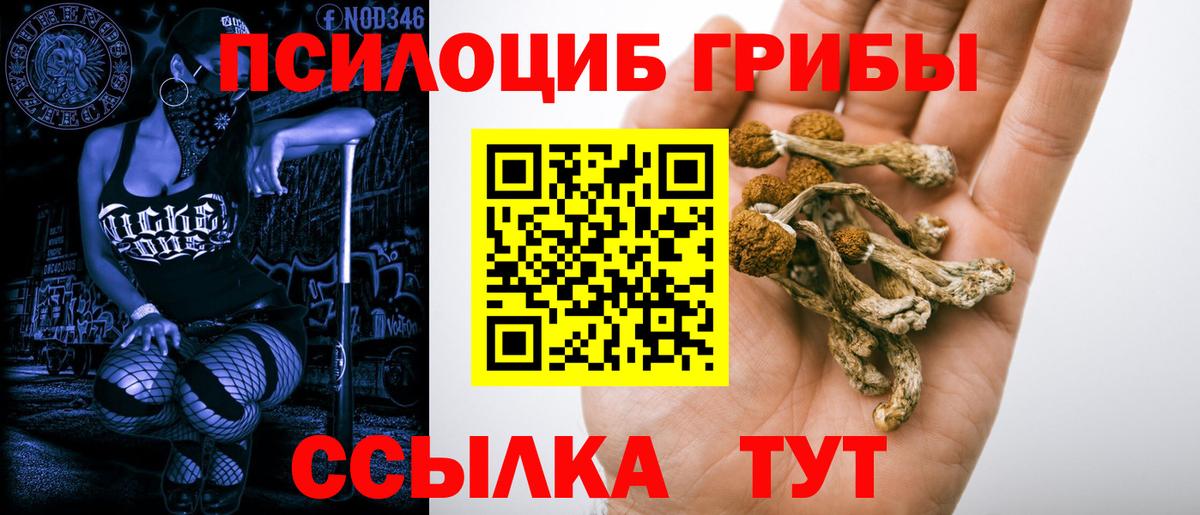 Ковров  Псилоцибиновые грибы мухоморы  что такое   Псилоцибиновые грибы прущие грибы  Вход с VPN 